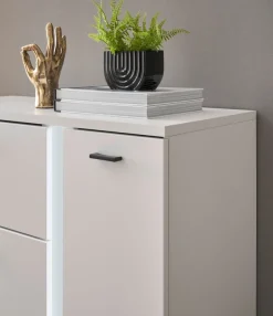 Home affaire Highboard »LONG ISLAND« 1 Stk. tlg. in moderner Trendfarbe,inklusive senkrechter Beleuchtung,Breite 100 cm