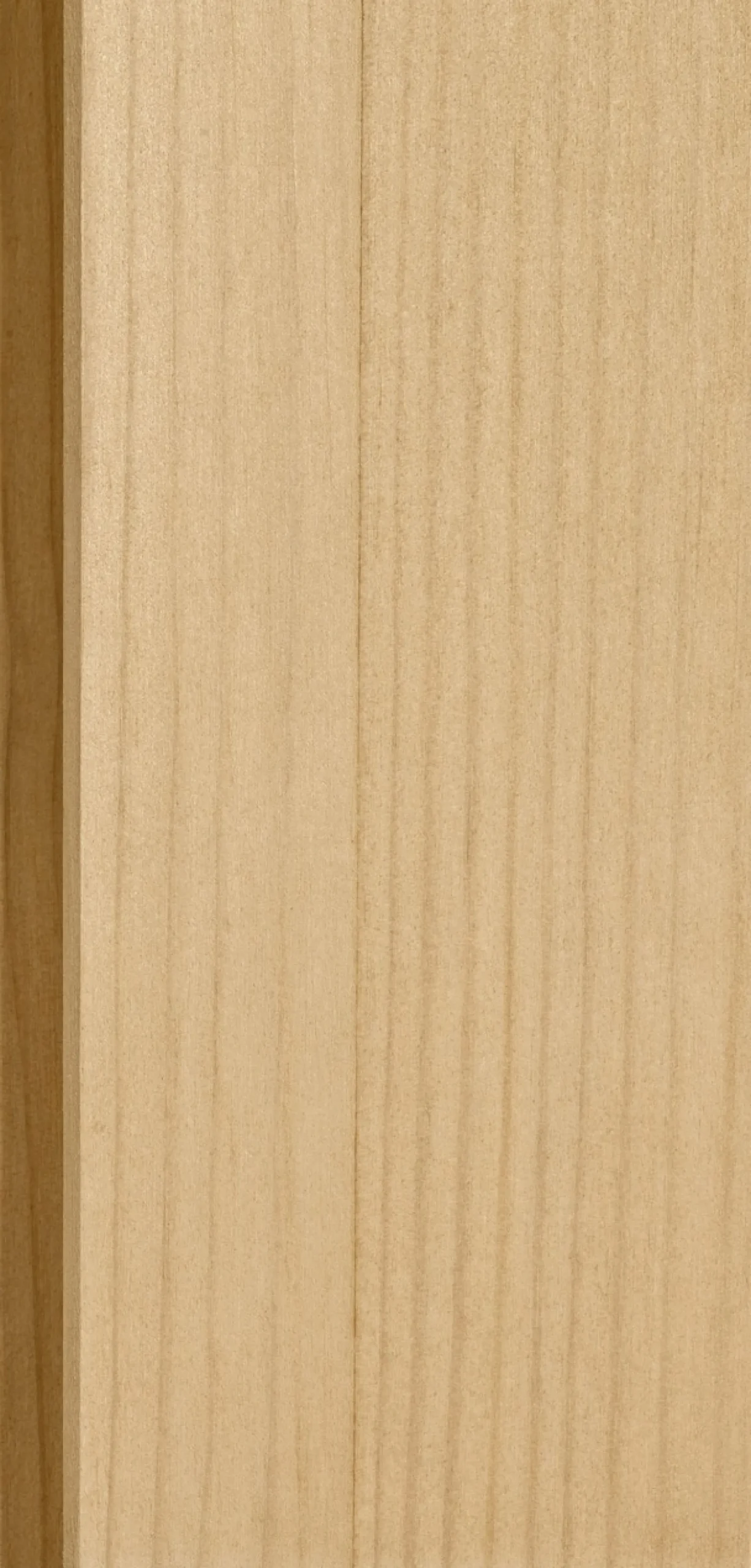 Home affaire Hängeschrank »Alby« Breite 100 cm , 2 Türen