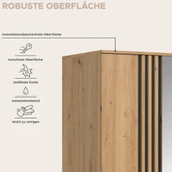 Home affaire Kleiderschrank »ALVA, Breite 120 cm, mit griffloser Front in Paneeloptik, Schrank« Schlafzimmerschrank in weiteren Ausführungen erhältlich,3 Türen, davon 1 Spiegeltür, 1 Kleiderstange, 5 Einlegeböden