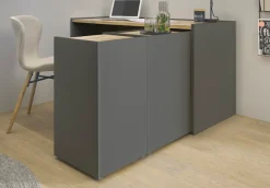 Home affaire Kommode »CiTY/GiRON« Aktenschrank, wohnliches Home Office, Breite 40 cm