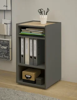 Home affaire Kommode »CiTY/GiRON« Aktenschrank, wohnliches Home Office, Breite 40 cm