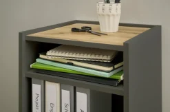 Home affaire Kommode »CiTY/GiRON« Aktenschrank, wohnliches Home Office, Breite 40 cm