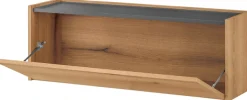 Home affaire Mehrzweckschrank »GiRON/CiTY, Wandgarderobe in vier Farben, Wandschrank« zeitloses Design, Breite 100 cm, großes Fach