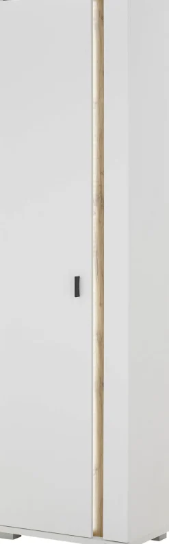 Home affaire Mehrzweckschrank »LONG ISLAND« 1 Stk. tlg. in moderner Trendfarbe,inklusive senkrechter Beleuchtung,Breite 55 cm
