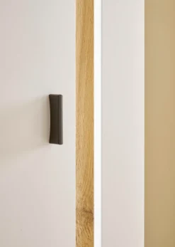Home affaire Mehrzweckschrank »LONG ISLAND« 1 Stk. tlg. in moderner Trendfarbe,inklusive senkrechter Beleuchtung,Breite 55 cm