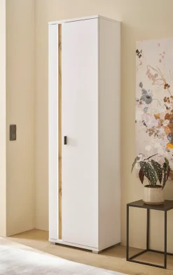 Home affaire Mehrzweckschrank »LONG ISLAND« 1 Stk. tlg. in moderner Trendfarbe,inklusive senkrechter Beleuchtung,Breite 55 cm
