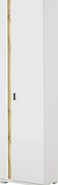 Home affaire Mehrzweckschrank »LONG ISLAND« 1 Stk. tlg. in moderner Trendfarbe,inklusive senkrechter Beleuchtung,Breite 55 cm