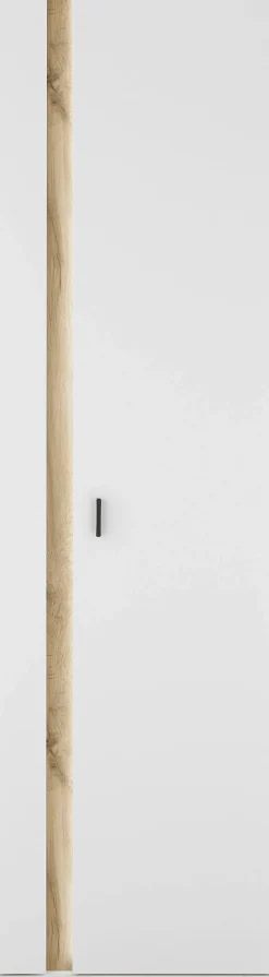 Home affaire Mehrzweckschrank »LONG ISLAND« 1 Stk. tlg. in moderner Trendfarbe,inklusive senkrechter Beleuchtung,Breite 55 cm