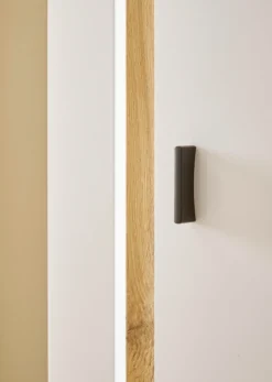 Home affaire Mehrzweckschrank »LONG ISLAND« 1 Stk. tlg. in moderner Trendfarbe,inklusive senkrechter Beleuchtung,Breite 55 cm