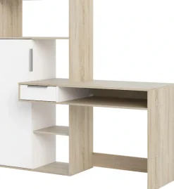 Home affaire Regal-Schreibtisch »Function Plus, Standregal, Aktenregal, Stauraumregal, Multifunktional,« mit 1 Schublade, 1 Tür, Regal und Fächern