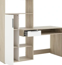 Home affaire Regal-Schreibtisch »Function Plus, Standregal, Aktenregal, Stauraumregal, Multifunktional,« mit 1 Schublade, 1 Tür, Regal und Fächern