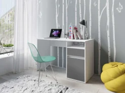 Home affaire Schreibtisch »Tinsley« mit Schublade, und Tür, Breite 120 x53 cm