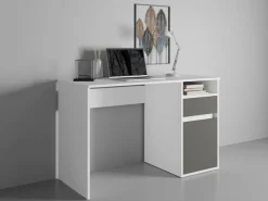 Home affaire Schreibtisch »Tinsley« mit Schublade, und Tür, Breite 120 x53 cm