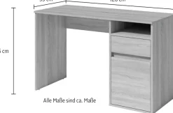 Home affaire Schreibtisch »Tinsley« mit Schublade, und Tür, Breite 120 x53 cm