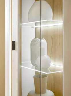 Home affaire Vitrine »LONG ISLAND« 1 Stk. tlg. in moderner Trendfarbe,inklusive senkrechter Beleuchtung,Breite 55 cm