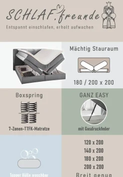 Jockenhöfer Gruppe Boxspringbett »AMY mit Bettkasten, inkl. Bonnell- oder Taschenfederkernmatratze H2-H4« mit 6 cm Kaltschaum-Topper, Samt-Bezug, 120x200 und 140x200 cm