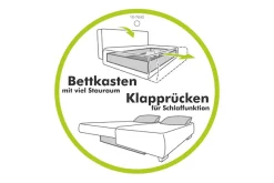 Jockenhöfer Gruppe Ecksofa »Spotlight XL L-Form, B: 261 cm« mit Schlaffunktion, Bettkasten, Licht & 2 Zierkissen