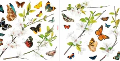 Komar Fensterbild »Cheerful Schmetterlinge 27 Motive, Design Frühling Sommer« Sticker für Fenster oder Spiegel, selbsthaftend und wiederverwendbar