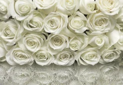 Komar Fototapete »A la Rose - Größe 368 x 254 cm« bedruckt glatt Wohnzimmer, Schlafzimmer