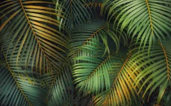 Komar Fototapete »Digitaldruck Vlies -Amazon Fern - Größe 400 x 250 cm« bedruckt glatt Wohnzimmer, Schlafzimmer