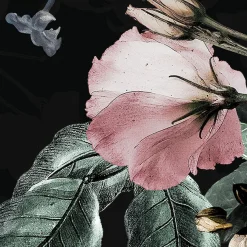 Komar Fototapete »Enchanted Flowers« Motiv | bedruckt glatt