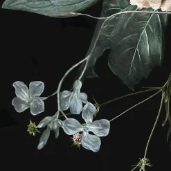 Komar Fototapete »Enchanted Flowers« Motiv | bedruckt glatt