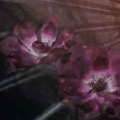 Komar Fototapete »Flemish Flowers« Motiv | bedruckt glatt