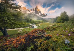 Komar Fototapete »Morning Walk - Größe 368 x 254 cm« bedruckt glatt Wohnzimmer, Schlafzimmer