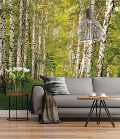 Komar Fototapete »Papier Fototapete - Birkenwald - Größe 368 x 254 cm« Motiv | bedruckt glatt