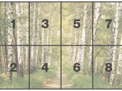 Komar Fototapete »Papier Fototapete - Birkenwald - Größe 368 x 254 cm« Motiv | bedruckt glatt