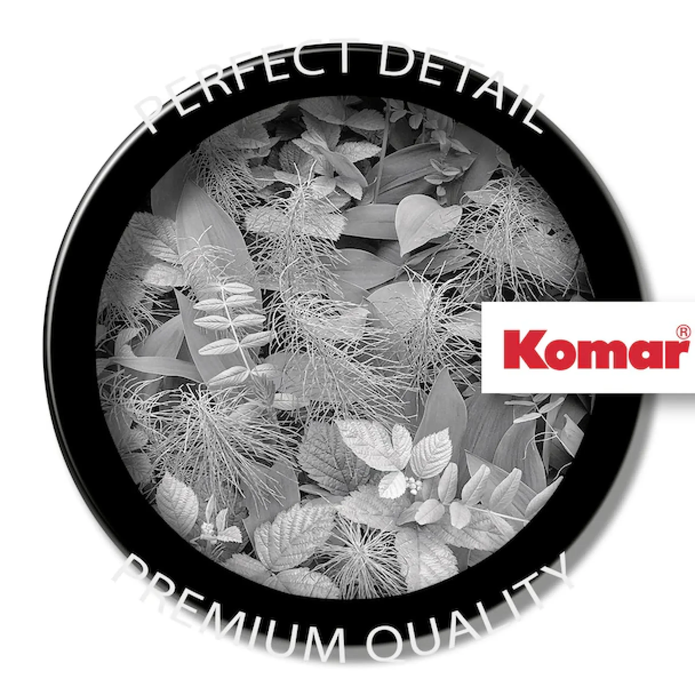 Komar Fototapete »Papier Fototapete - Forest Floor - Größe 368 x 254 cm« Motiv | bedruckt glatt