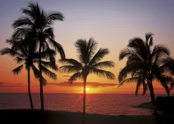 Komar Fototapete »Papier Fototapete - Hawaii - Größe 368 x 254 cm« Motiv | bedruckt glatt