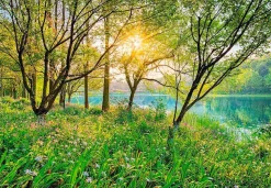Komar Fototapete »Spring Lake - Größe 368 x 254 cm« bedruckt glatt Wohnzimmer, Schlafzimmer