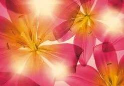 Komar Fototapete »Summer Sun - Größe 368 x 254 cm« bedruckt glatt Wohnzimmer, Schlafzimmer