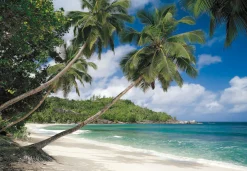 Komar Fototapete »Tropical Sea - Größe 368 x 254 cm« bedruckt glatt Wohnzimmer, Schlafzimmer