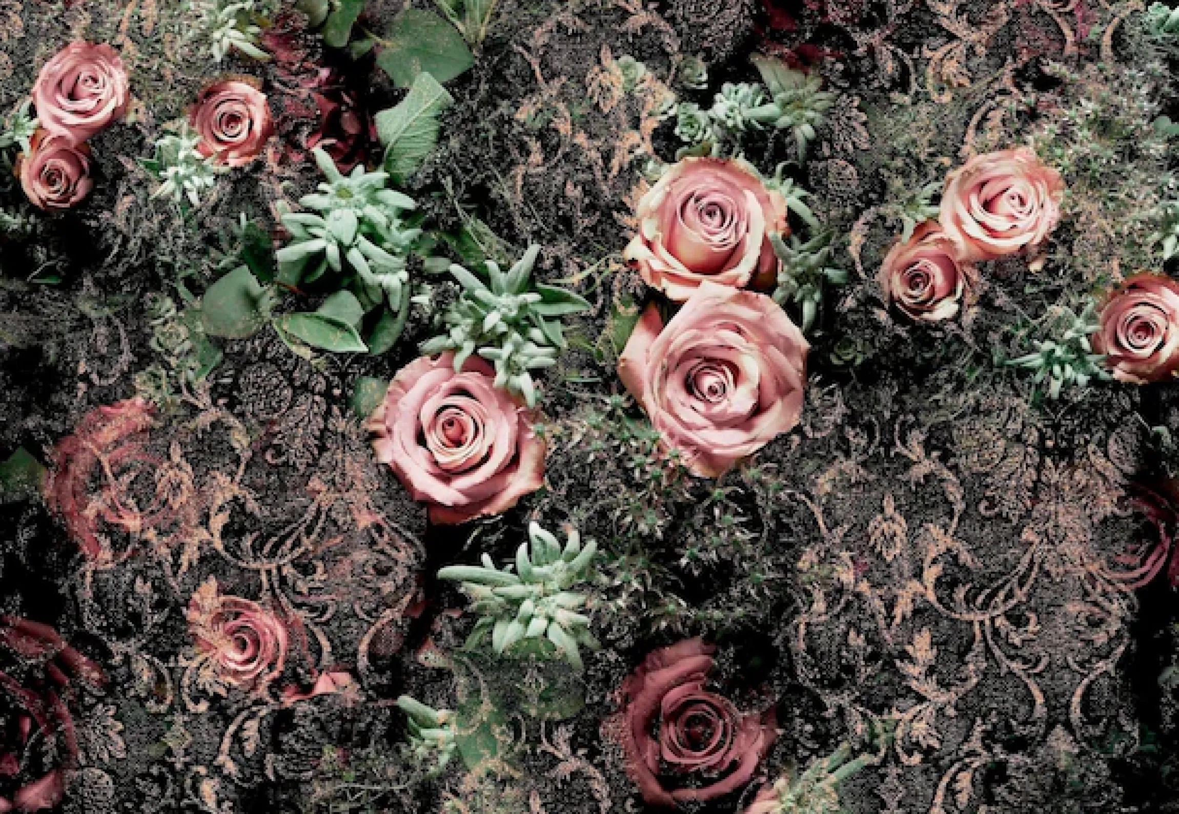 Komar Fototapete »Velvet - Größe 368 x 254 cm« bedruckt glatt Wohnzimmer, Schlafzimmer