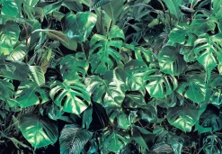 Komar Fototapete »Verdure - Größe 368 x 254 cm« bedruckt glatt Wohnzimmer, Schlafzimmer