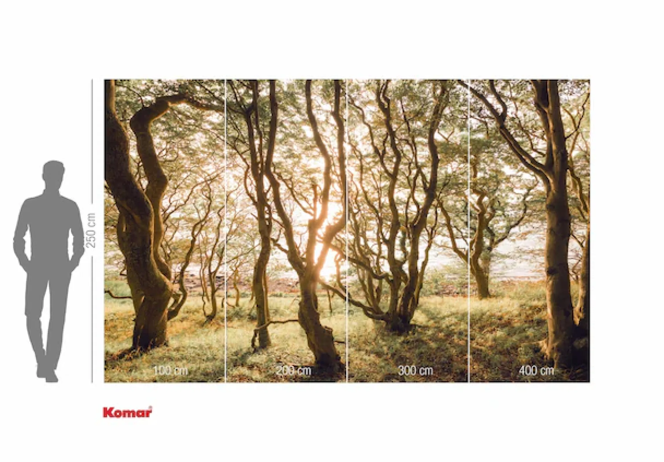 Komar Fototapete »Vlies Fototapete - Bold Birch - Größe 400 x 250 cm« Motiv | bedruckt glatt