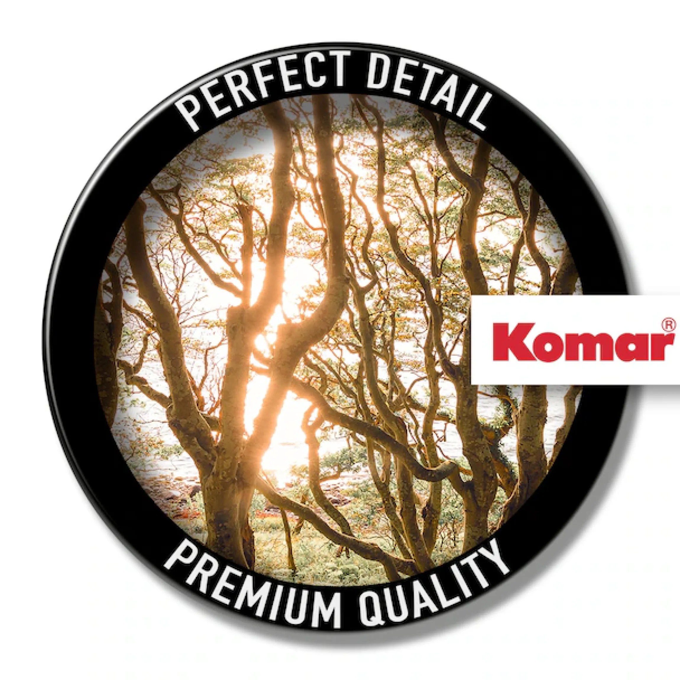Komar Fototapete »Vlies Fototapete - Bold Birch - Größe 400 x 250 cm« Motiv | bedruckt glatt