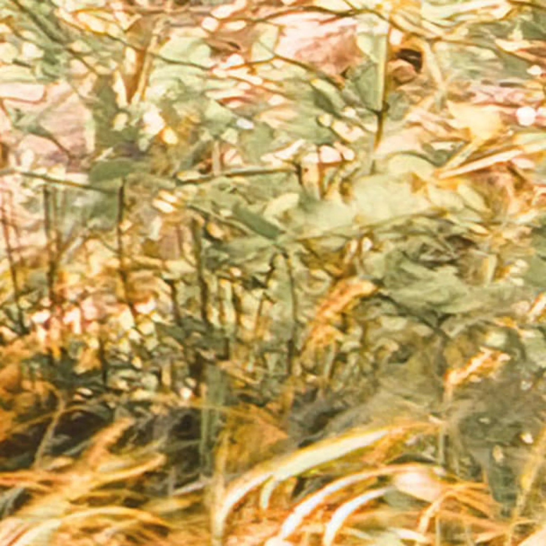 Komar Fototapete »Vlies Fototapete - Bold Birch - Größe 400 x 250 cm« Motiv | bedruckt glatt