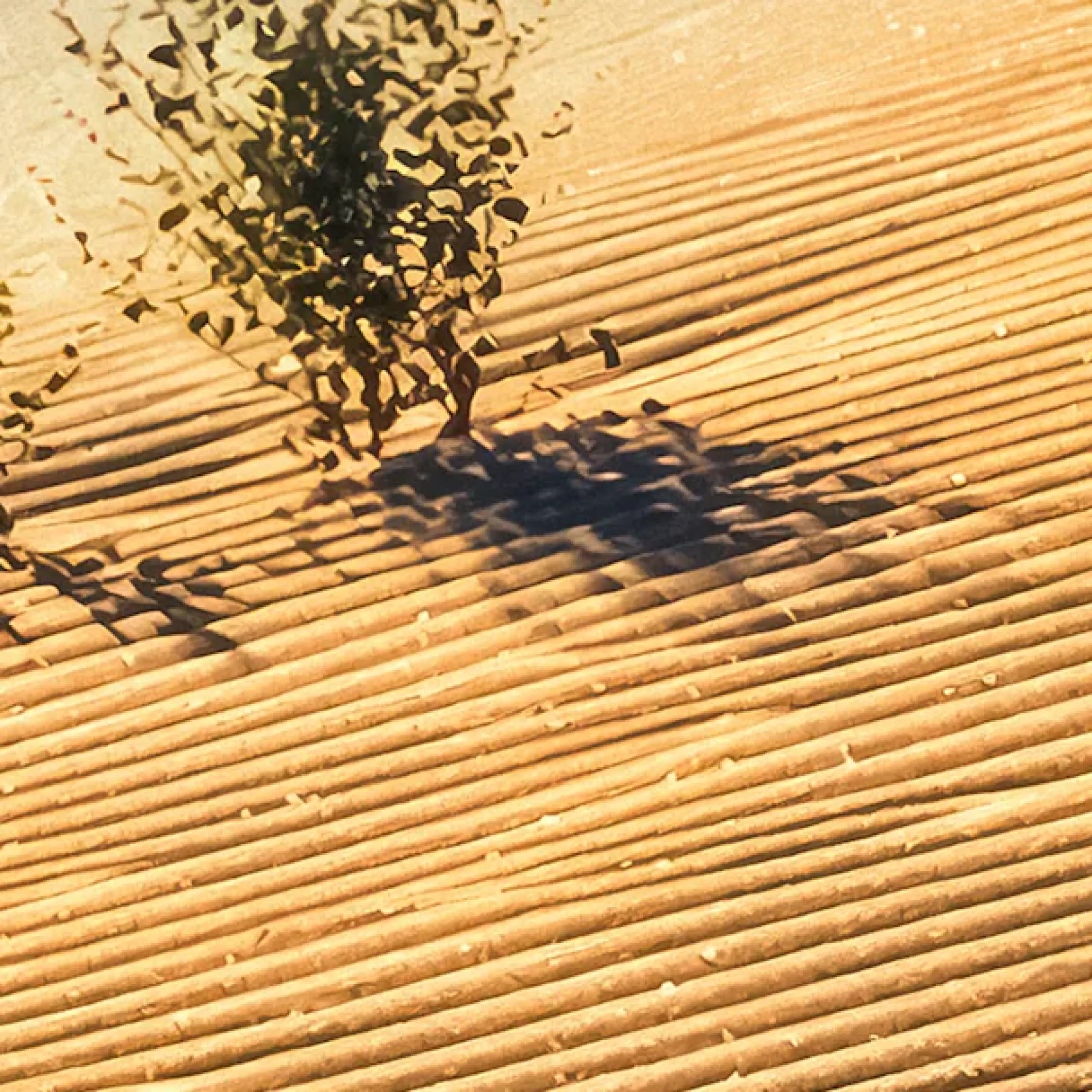 Komar Fototapete »Vlies Fototapete - Body Lines - Größe 500 x 250 cm« Motiv | bedruckt glatt