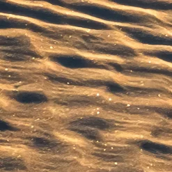 Komar Fototapete »Vlies Fototapete - Body Lines - Größe 500 x 250 cm« Motiv | bedruckt glatt