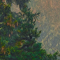 Komar Fototapete »Vlies Fototapete - Mystical Firs - Größe 400 x 250 cm« Motiv | bedruckt glatt