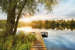 Komar Fototapete »Vlies- Picnic - Größe 368 x 248 cm« bedruckt glatt Wohnzimmer, Schlafzimmer