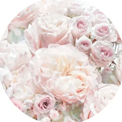 Komar Fototapete »Vlies selbstklebend - Pink and Cream Roses - Größe 125 x 125 cm« bedruckt glatt Wohnzimmer, Schlafzimmer