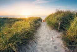Komar Fototapete »Vlies- Way to the Beach - Größe 368 x 248 cm« bedruckt glatt Wohnzimmer, Schlafzimmer