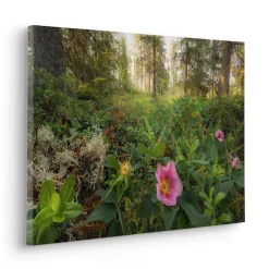 Komar Leinwandbild »Charming Woods - Größe 60 x 40 cm« Baum | Berge | Blumen | Blätter | Foto | Jahreszeiten | Landschaft | Meer