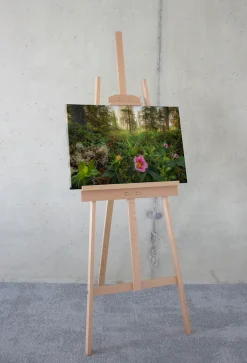 Komar Leinwandbild »Charming Woods - Größe 60 x 40 cm« Baum | Berge | Blumen | Blätter | Foto | Jahreszeiten | Landschaft | Meer