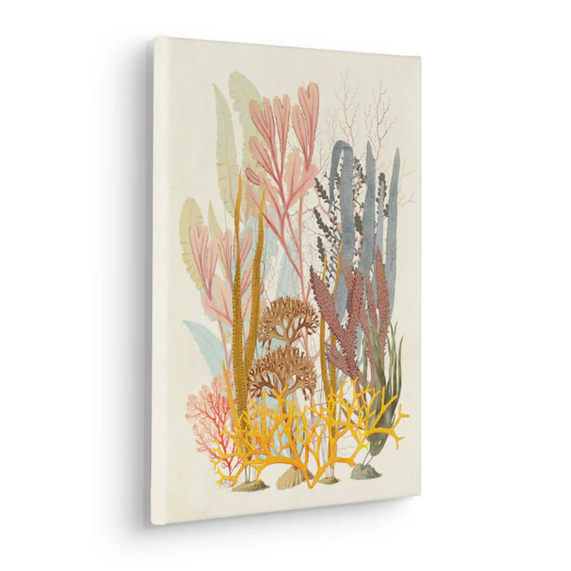 Komar Leinwandbild »Coral Aqua - Größe 30 x 40 cm« Natur 1 Stk. tlg. Keilrahmenbild mi Echtholzrahmen