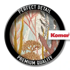 Komar Leinwandbild »Coral Aqua - Größe 30 x 40 cm« Natur 1 Stk. tlg. Keilrahmenbild mi Echtholzrahmen